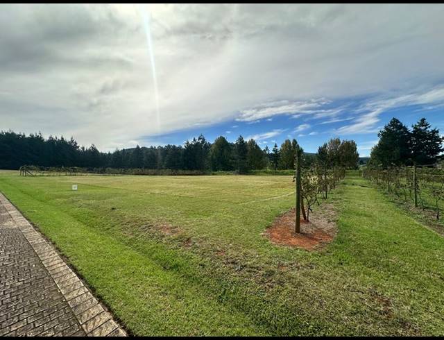 LAND FOR SALE IN DARGLE
